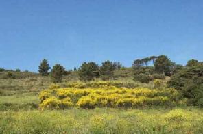 Xtrallusion photo library of independent, self-guided walking and sightseeing holidays in Italy. Pictures, images, photos and photographs taken along the way of this 1-day walking itinerary, to give you a visual impression of the day's walk.